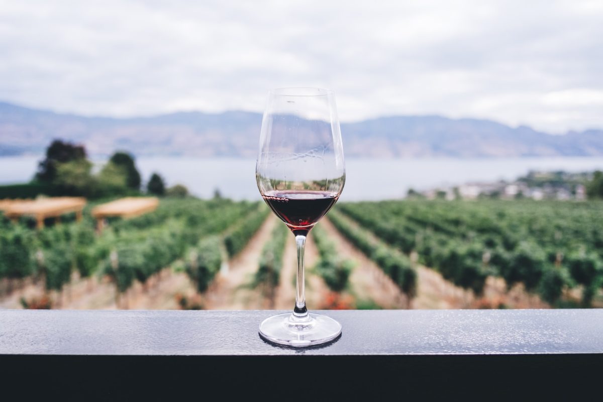 Les différents styles et types de vin rouge à découvrir